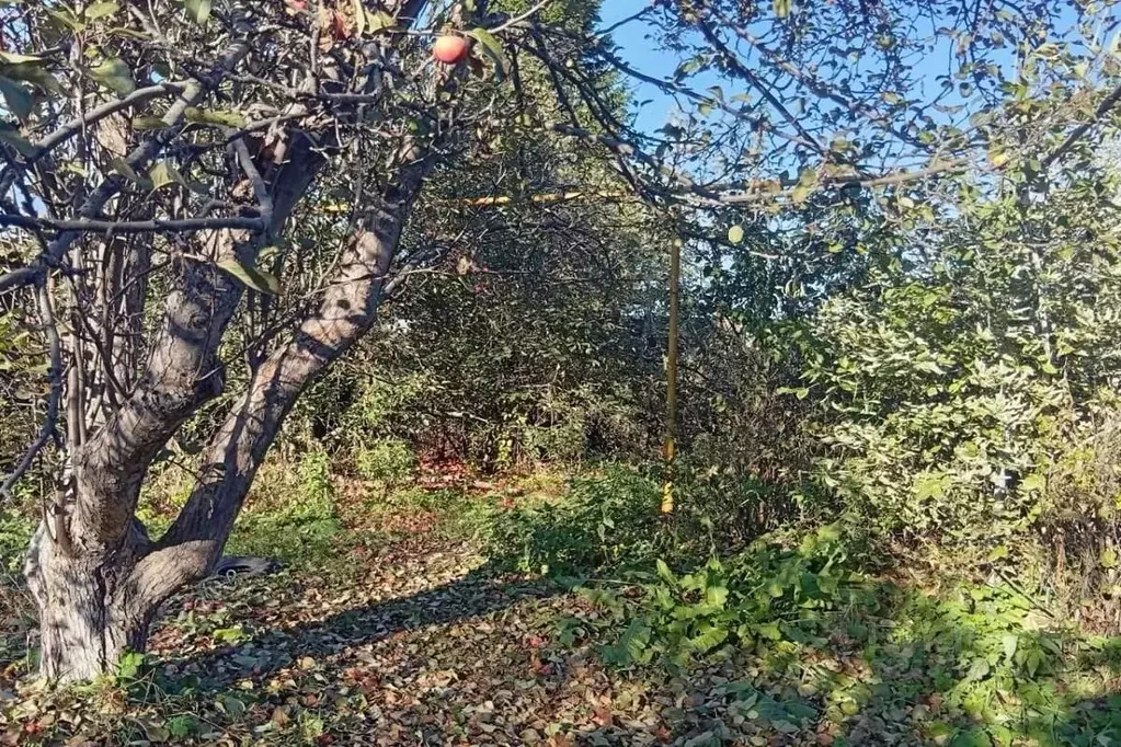 Дом в Свердловская область, Каменский муниципальный округ, с. ... - Фото 1