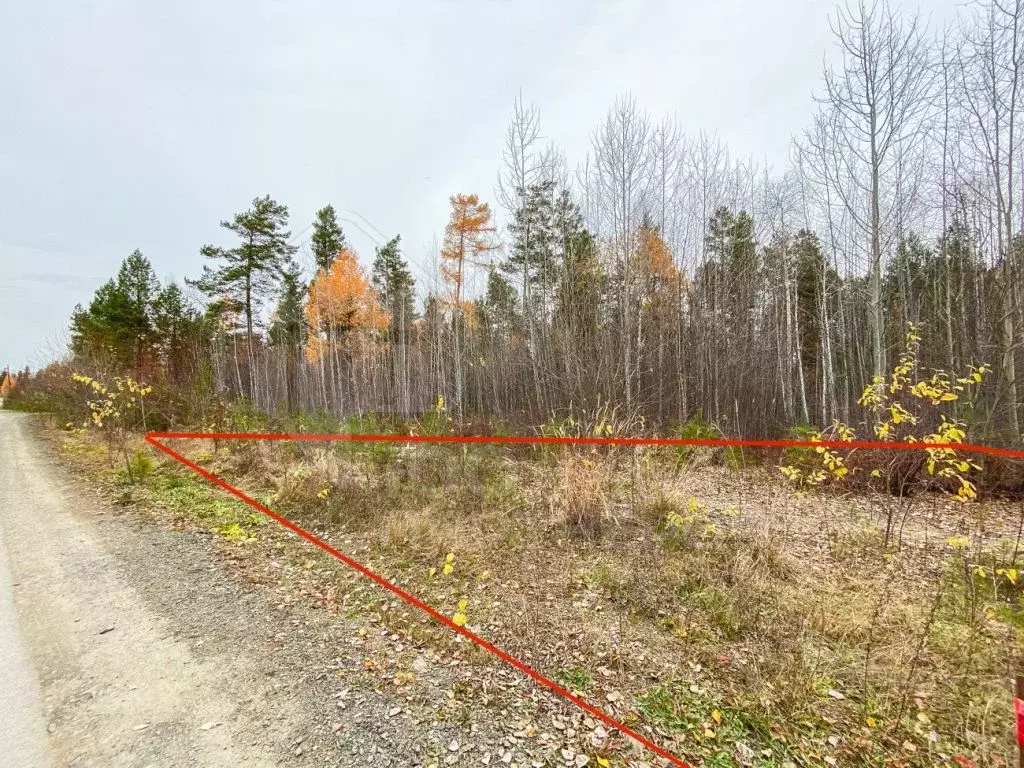 Участок в Иркутская область, Иркутский муниципальный округ, Светлый Яр ... - Фото 1