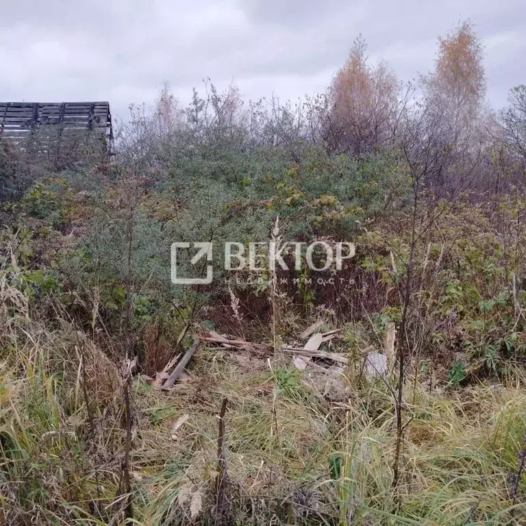 Участок в Костромская область, Кострома Русь СТ,  (6.0 сот.) - Фото 2