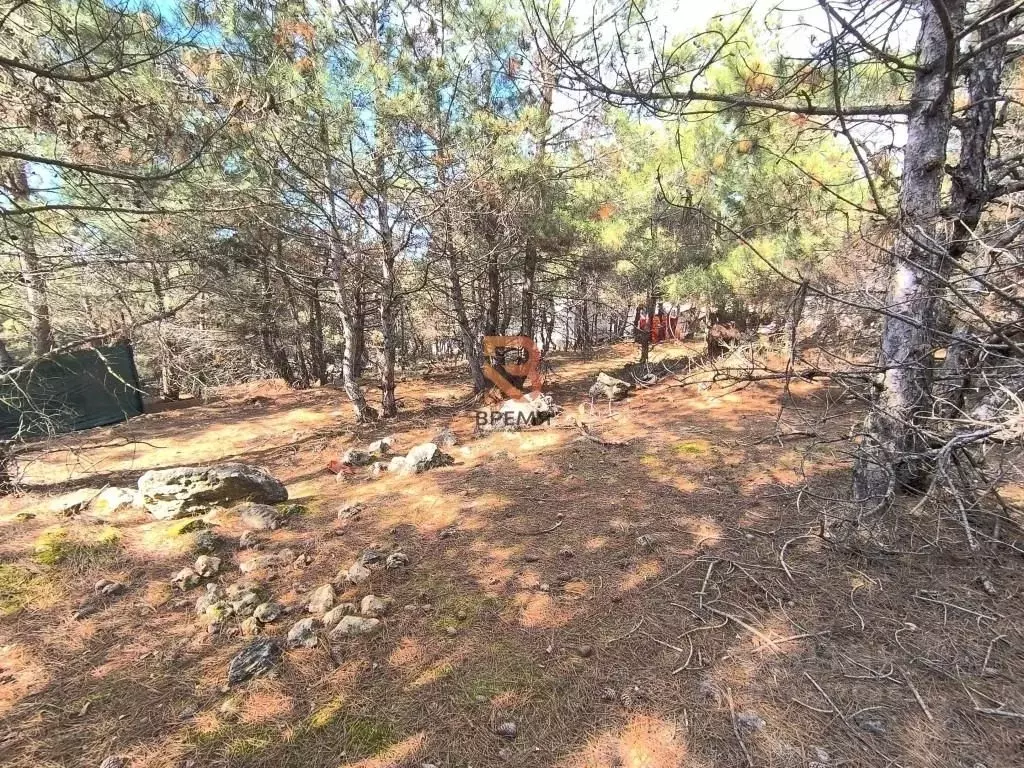 Участок в Севастополь пер. Кофейный, 5 (9.0 сот.) - Фото 2