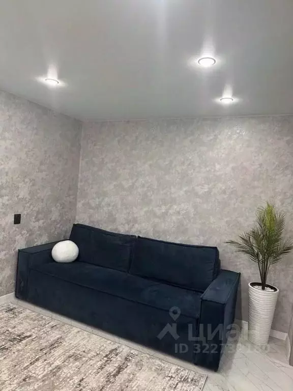 1-к кв. Мурманская область, Апатиты Фестивальная ул., 13 (30.0 м) - Фото 2