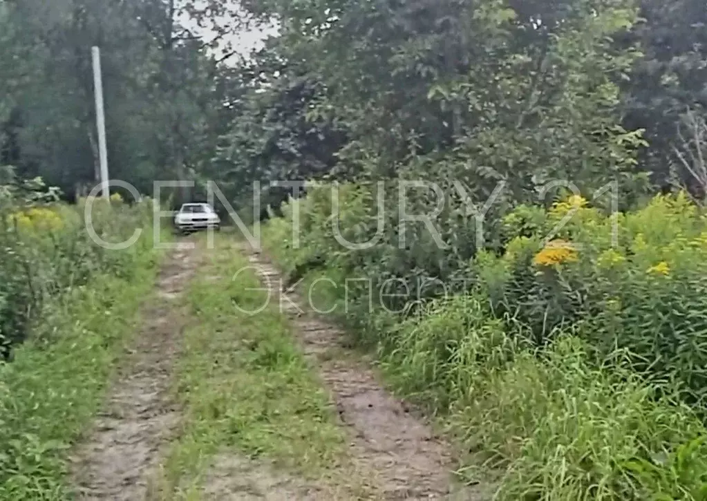 Участок в Калининградская область, Гурьевский муниципальный округ, ... - Фото 1