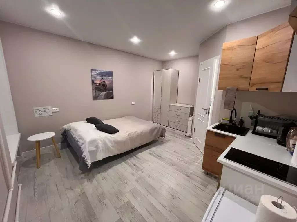 Студия Санкт-Петербург Спасский пер., 6-8Н (20.0 м) - Фото 2