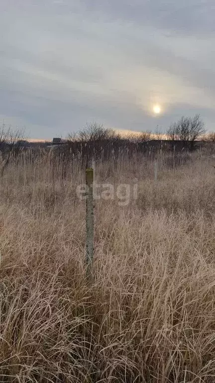 Участок в Краснодарский край, Мостовское городское поселение, Высокий ... - Фото 1