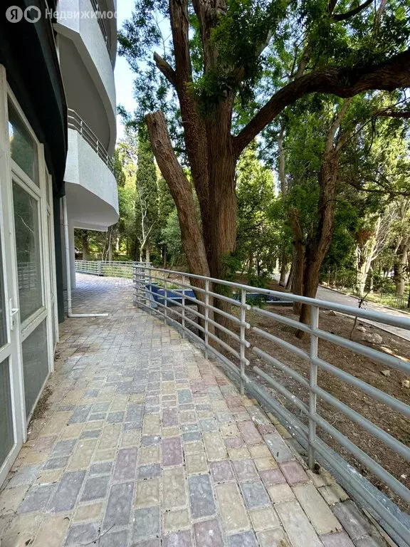 Квартира-студия: Кореиз, парк-памятник садово-паркового искусства ... - Фото 2