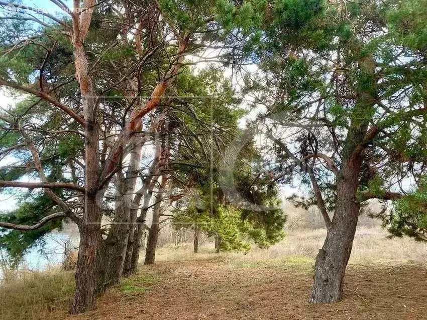 Дом в Верхнехавский район, Углянское сельское поселение, СНТ Заря, 51 ... - Фото 2
