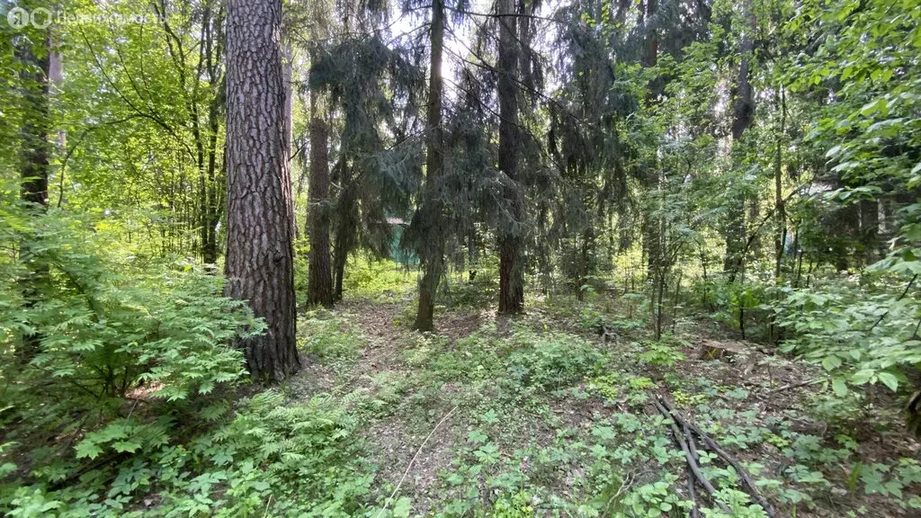 Участок в дачный посёлок Кратово, улица Комиссарова, 36 (30 м) - Фото 0