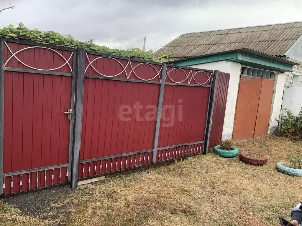 Дом в Белгородская область, Ровеньский район, с. Новоалександровка ул. ... - Фото 1