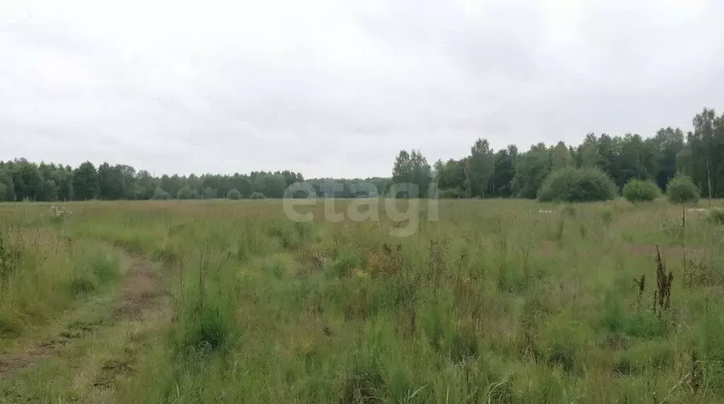 Участок в Тульская область, городской округ Алексин, деревня Егнышёвка ... - Фото 2