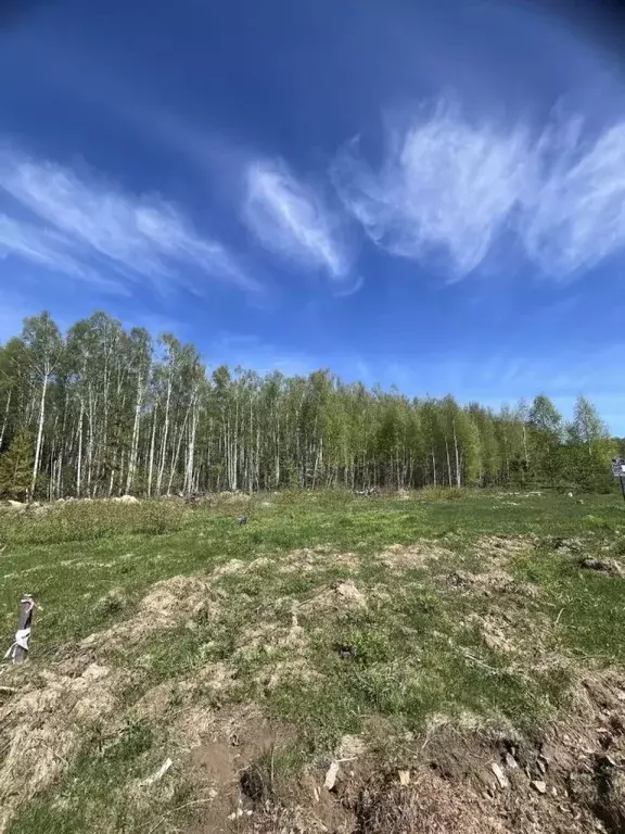 Участок в Нижегородская область, Городецкий муниципальный округ, д. ... - Фото 1