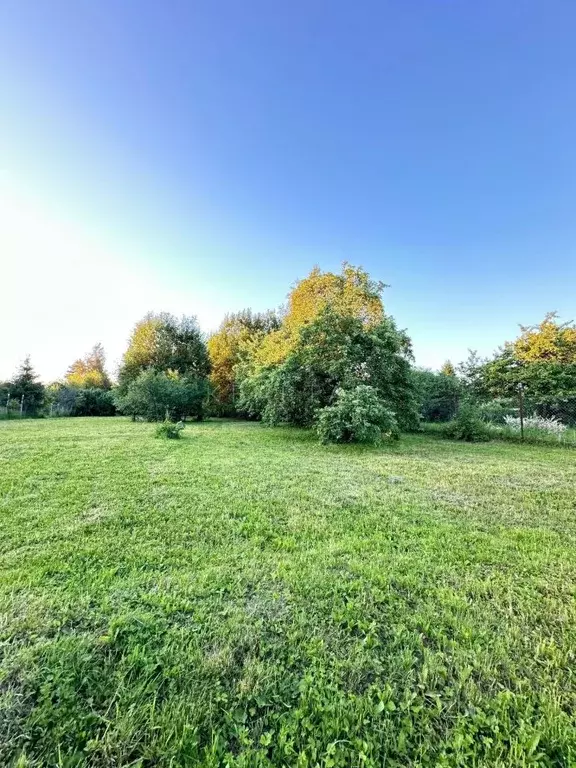 Участок в Московская область, Волоколамский городской округ, д. Анино ... - Фото 0