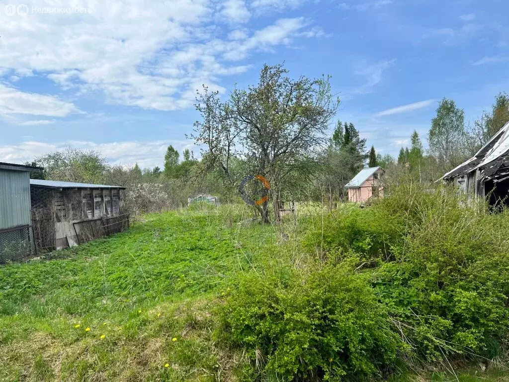 Дом в Новгородская область, Батецкий муниципальный округ, деревня ... - Фото 2