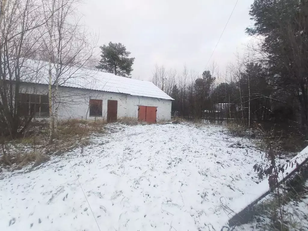 Помещение свободного назначения в Пермский край, Соликамский городской ... - Фото 0