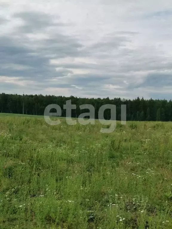 Участок в Брянская область, Жуковский муниципальный округ, д. ... - Фото 0