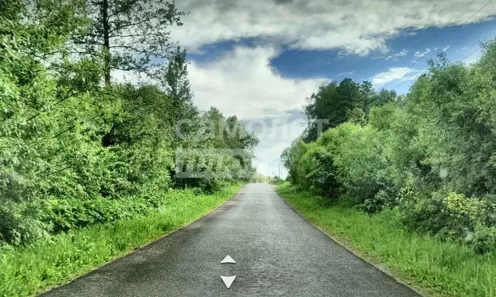 Участок в Калужская область, Бабынинский муниципальный округ, ... - Фото 2