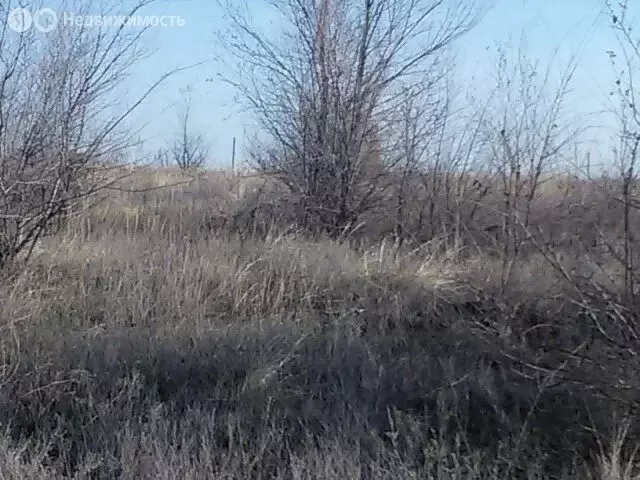 Участок в Волгоградская область, рабочий посёлок Городище, коттеджный ... - Фото 0