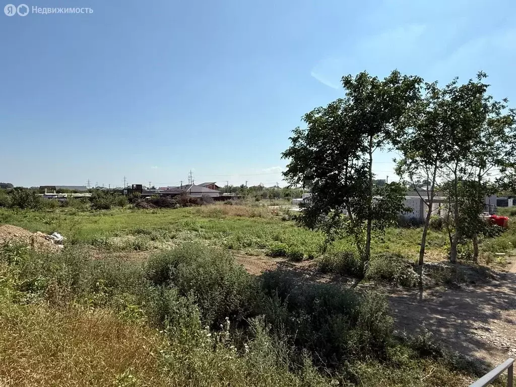 Участок в посёлок Берёзовый, СНТ Витаминовец, Сиреневая улица (613 м) - Фото 1