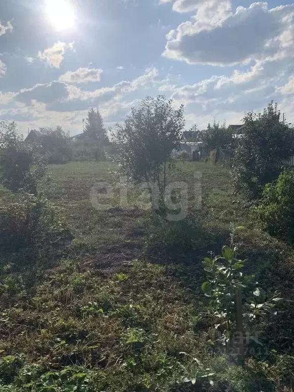 Дом в Курганская область, Далматово ул. Гоголя (23 м) - Фото 1