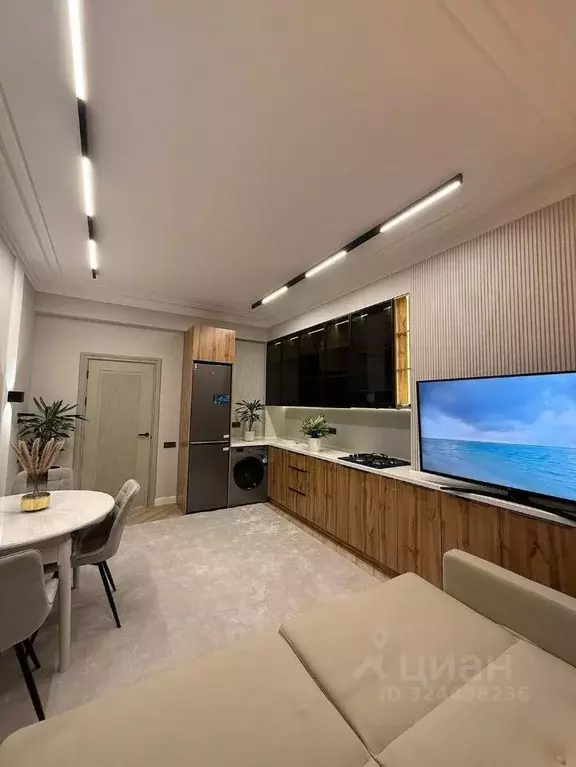 1-к кв. Краснодарский край, Сочи Курортный просп., 129 (42.3 м) - Фото 2