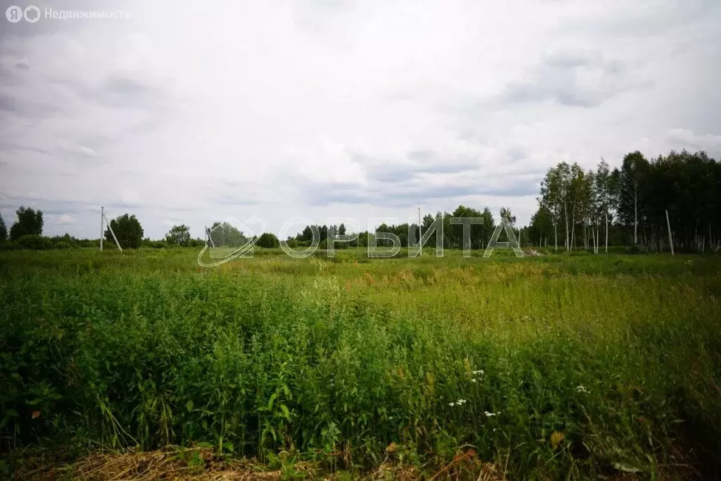 Участок в Тюмень, СНТ Судостроитель, Западная улица, 13 (5.1 м) - Фото 1