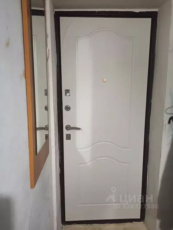 2-к кв. Самарская область, Жигулевск городской округ, с. Зольное ул. ... - Фото 2