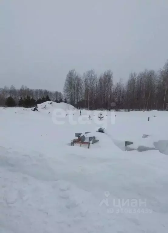 Участок в Тюменская область, Тюменский район, Новокаменский кп ул. ... - Фото 0