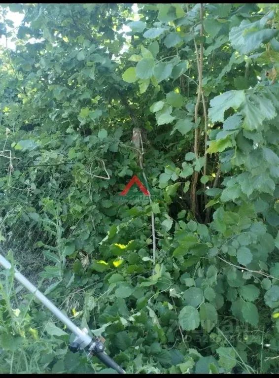 Участок в Краснодарский край, Славянский район, Прикубанское с/пос, ... - Фото 1