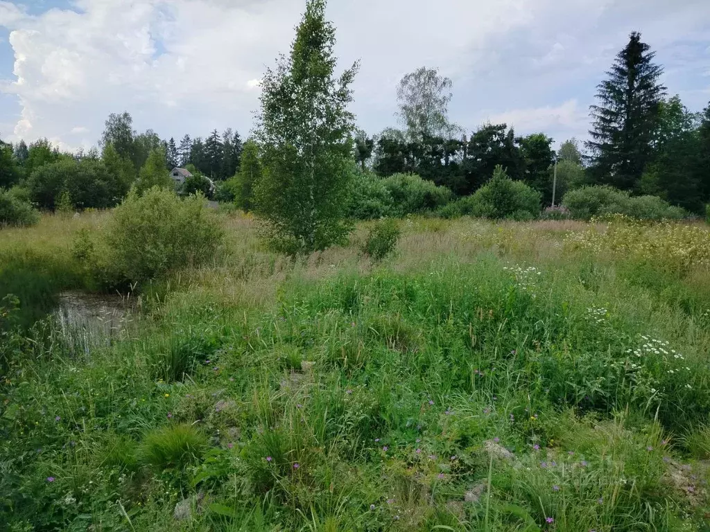 Участок в Ленинградская область, Кировский район, Мгинское городское ... - Фото 1