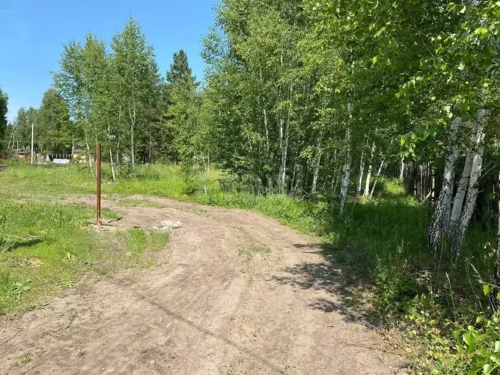 Участок в Курганская область, Кетовский муниципальный округ, д. ... - Фото 1