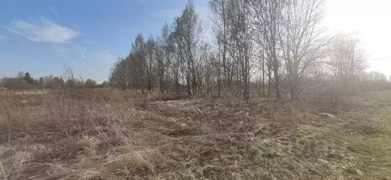 Участок в Московская область, Талдомский городской округ, д. Юркино  ... - Фото 0