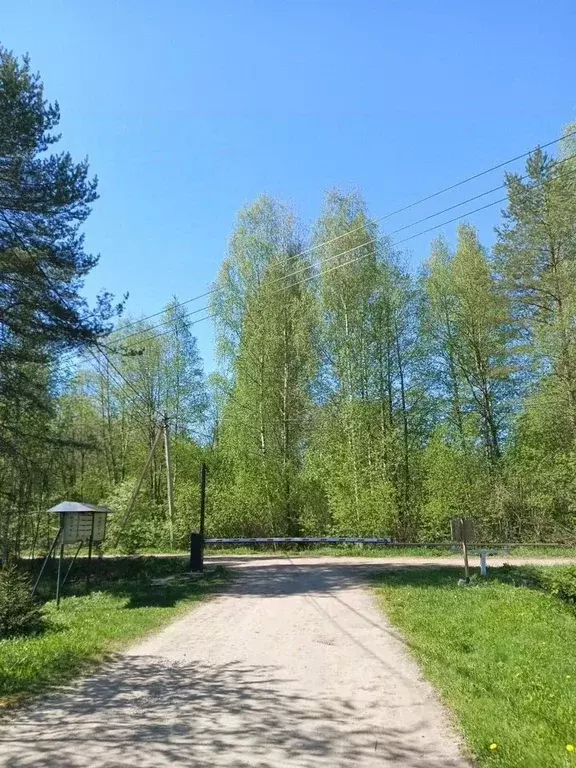 Участок в Ленинградская область, Кировский район, Мгинское городское ... - Фото 2