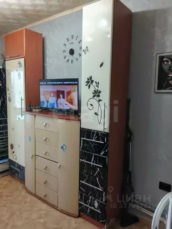 Студия Амурская область, Благовещенск Заводская ул., 31 (21.7 м) - Фото 1