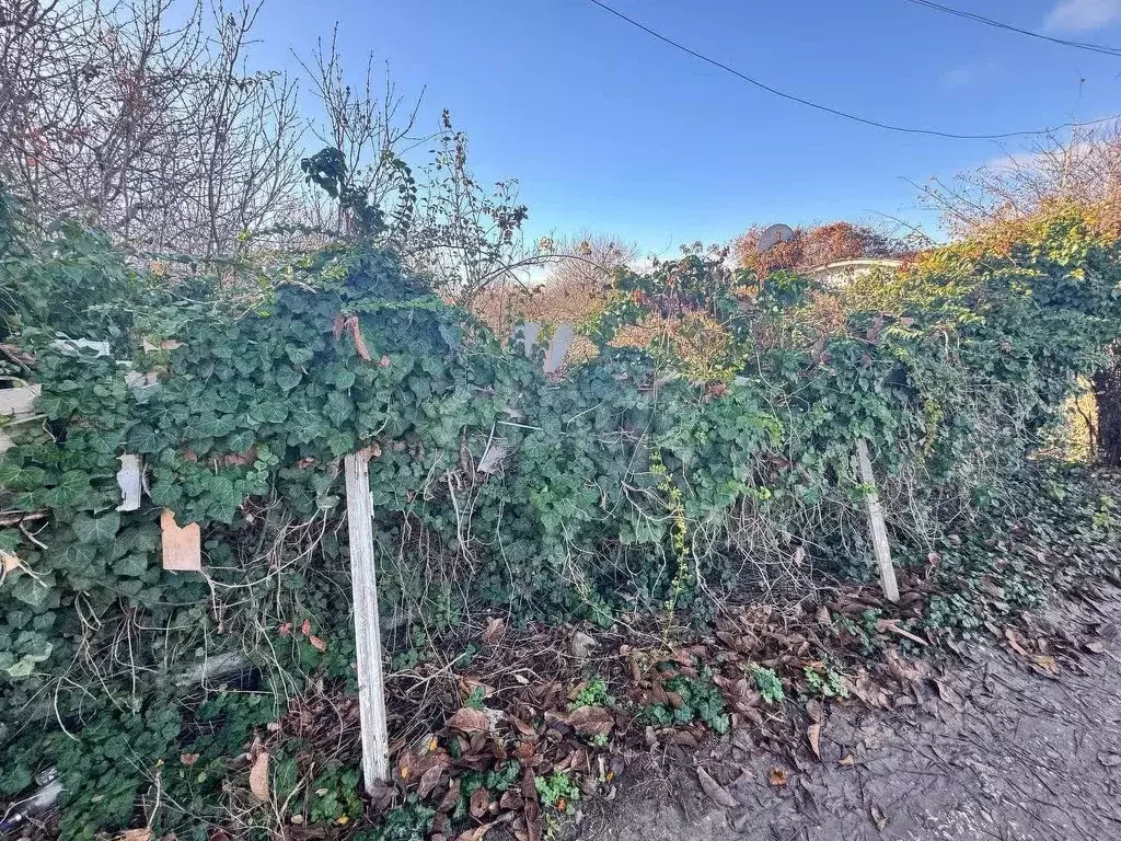 Участок в Крым, Симферопольский район, Чистенское с/пос, Родничок СПК  ... - Фото 1