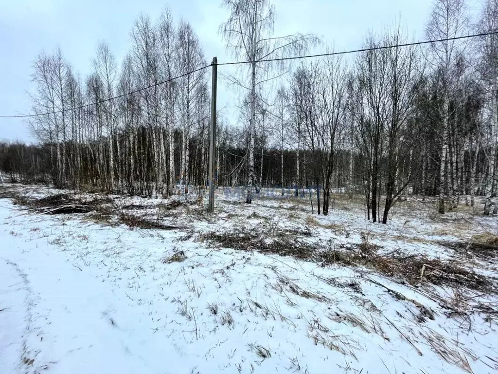 Участок в Нижегородская область, Дальнеконстантиновский муниципальный ... - Фото 1