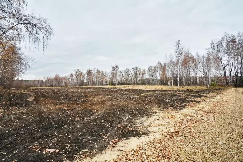 Участок в Воронежская область, Воронеж ул. Икорецкая (6.0 сот.) - Фото 1