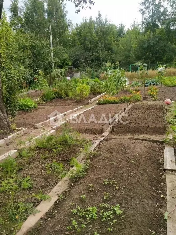 Участок в Нижегородская область, Нижний Новгород 40 лет Октября СНТ, ... - Фото 0