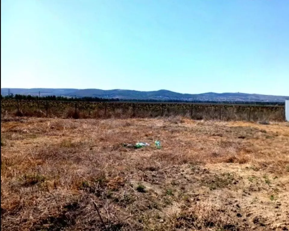 Участок в Краснодарский край, Анапа муниципальный округ, Анапская ... - Фото 0