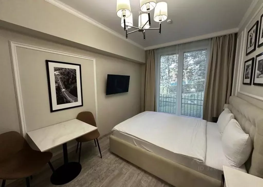 Студия Краснодарский край, Сочи Курортный просп., 70 (21.8 м) - Фото 2