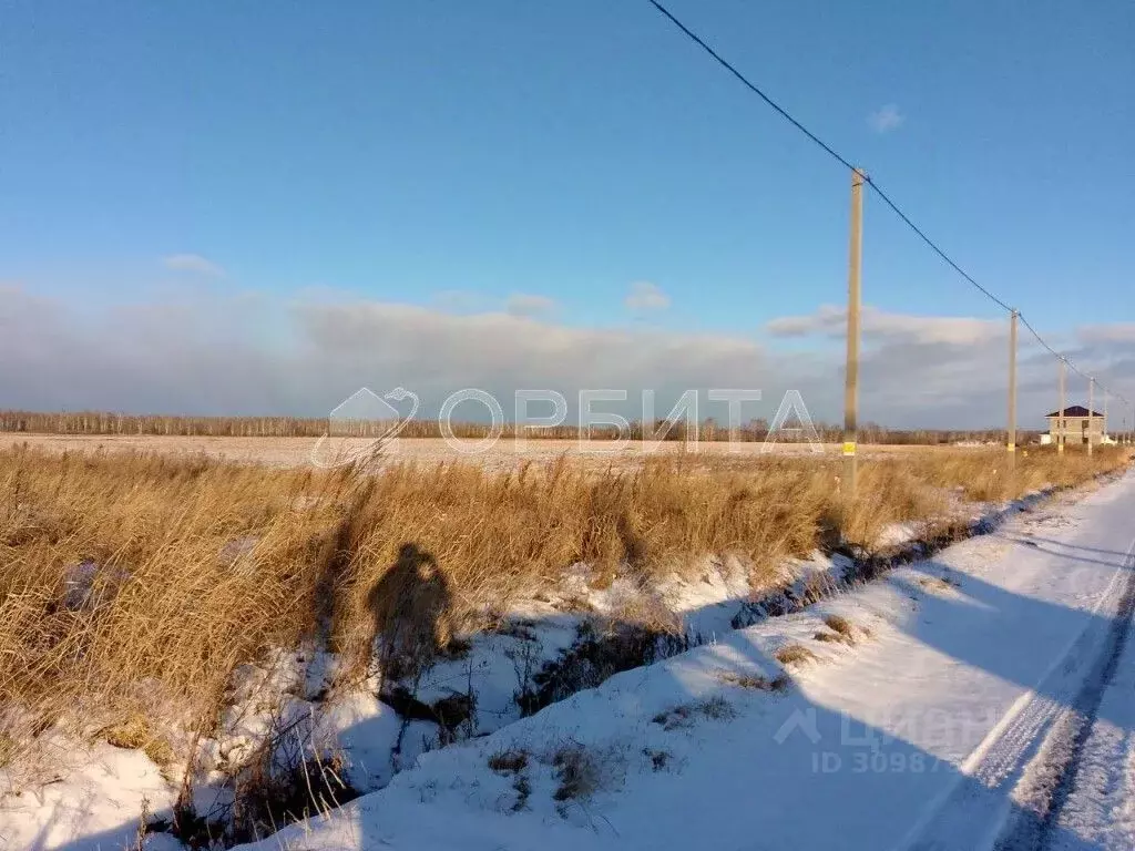 Участок в Тюменская область, Тюменский район, д. Елань 14 (5.09 сот.) - Фото 1