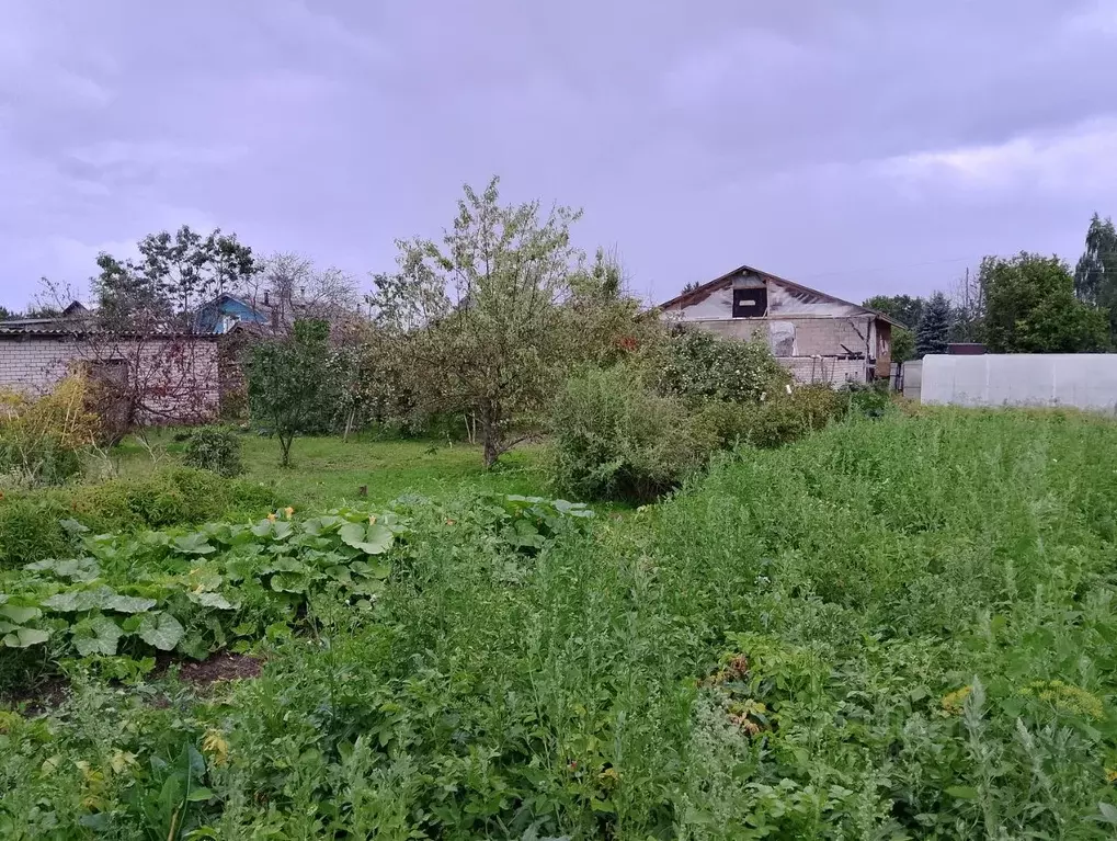 Участок в Новгородская область, Новгородский район, Ракомское с/пос, ... - Фото 1