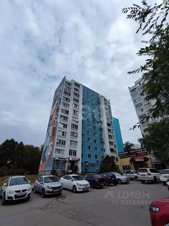 2-к кв. Самарская область, Самара Ново-Садовая ул., 361 (53.8 м) - Фото 2