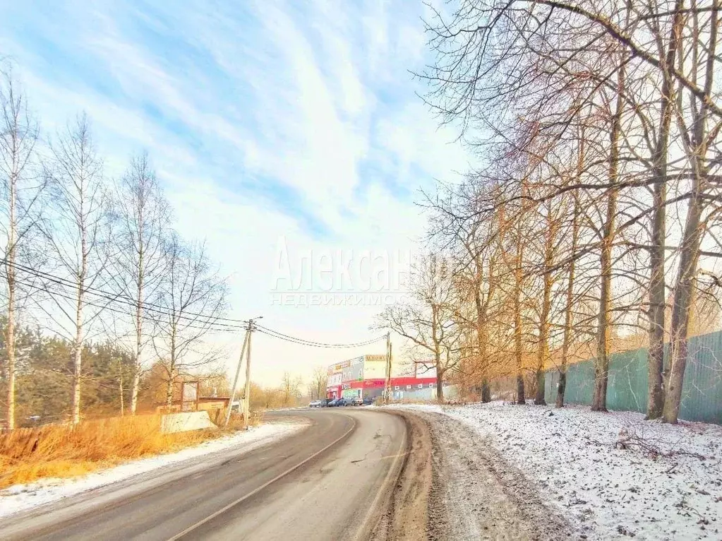 Участок в Ленинградская область, Ломоносовский район, Горбунковское ... - Фото 1