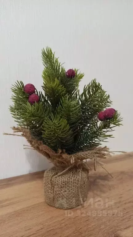 Студия Санкт-Петербург ул. Гудиловская, 9 (23.0 м) - Фото 1