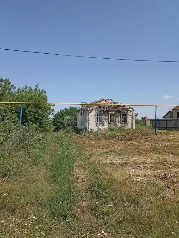 Участок в Белгородская область, Алексеевский городской округ, с. ... - Фото 0