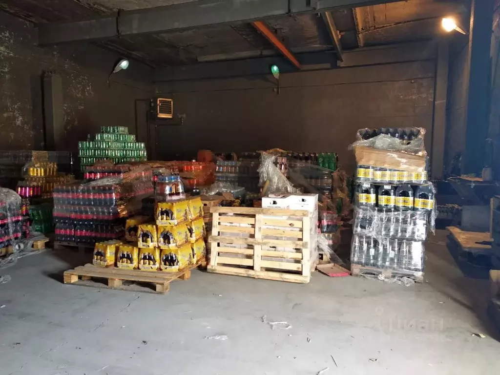 Склад в Новосибирская область, Новосибирск ул. Петухова, 37/2с10 (260 ... - Фото 2