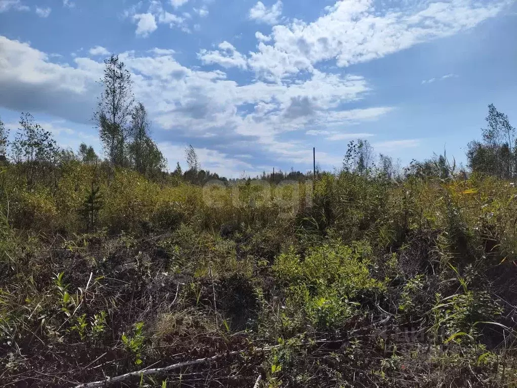 Участок в Тюменская область, Нижнетавдинский муниципальный округ, ... - Фото 1