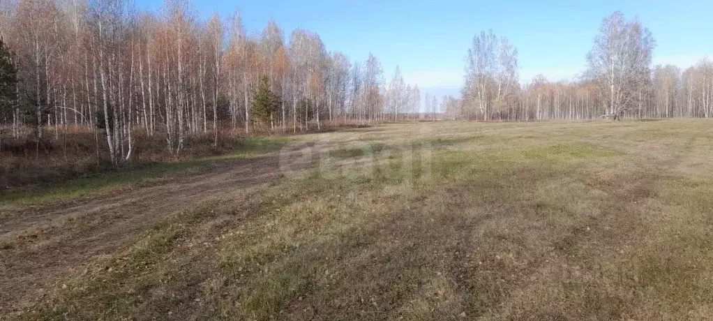 Участок в Тюменская область, Нижнетавдинский район, пос. Чугунаево  ... - Фото 1