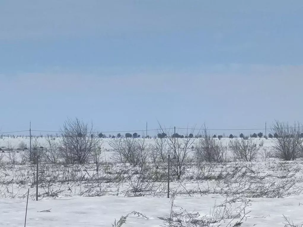 Участок в Пензенская область, с. Бессоновка, Виктория кп  (20.0 сот.) - Фото 2