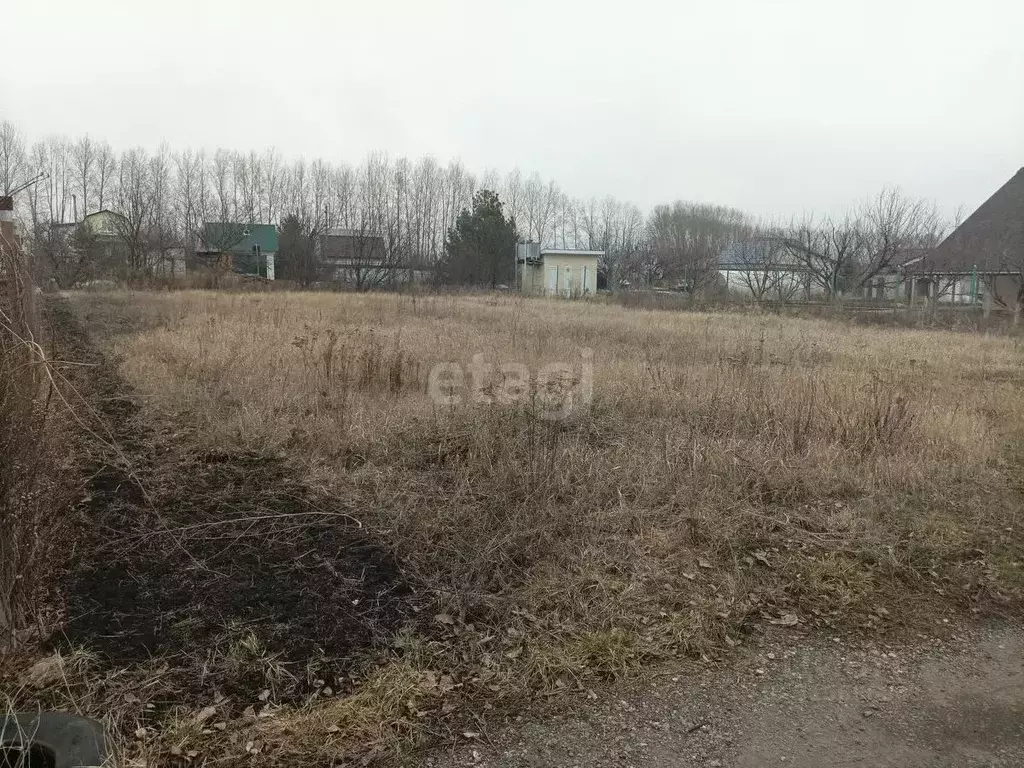 Участок в Воронежская область, Верхнехавский район, Малоприваловское ... - Фото 1