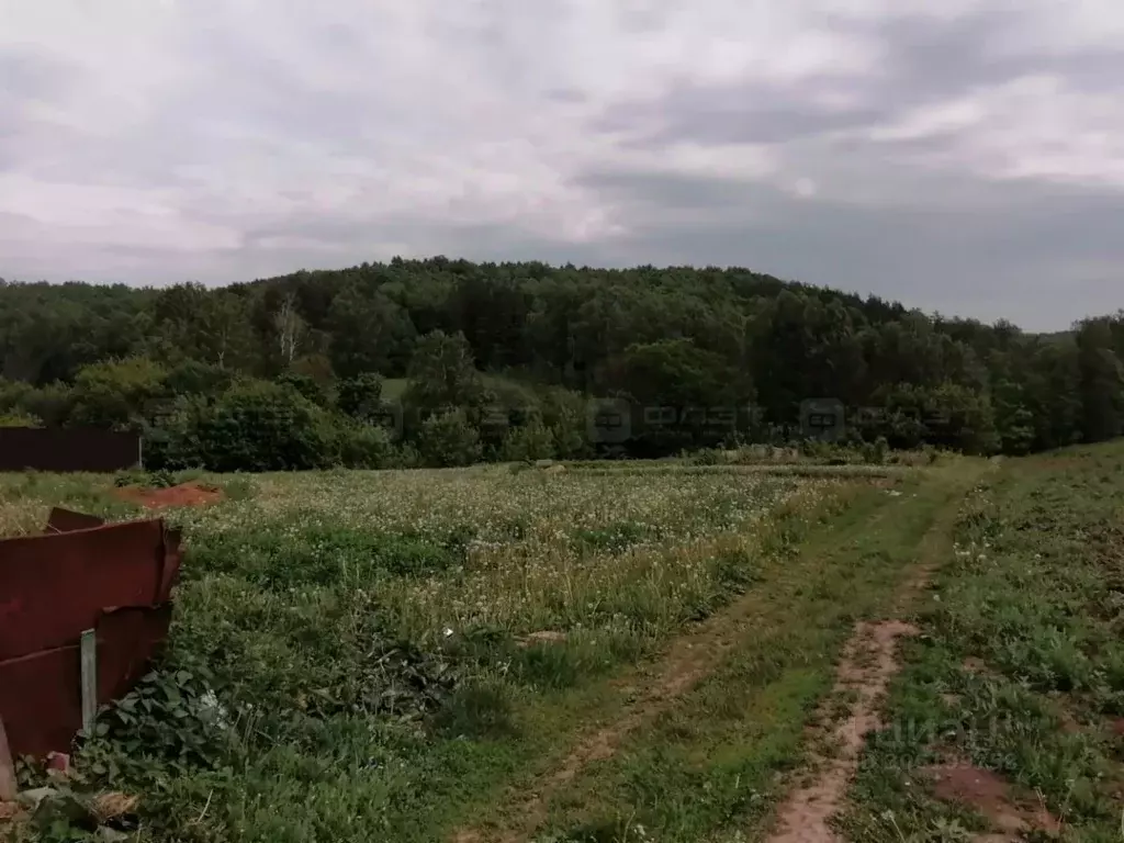 Участок в Татарстан, Высокогорский район, с. Березка ул. Новостройка, ... - Фото 0